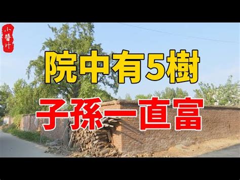 後院種樹風水|【後門 後院風水】有後院房屋開後門風水 